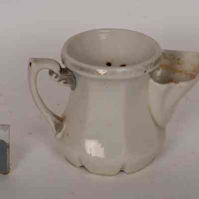 Shaving mug