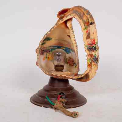 Shell table lamp