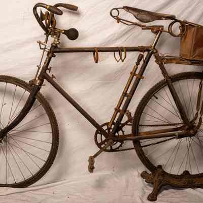 E Model Speedwell