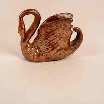 Swan