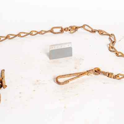 Dog Chain