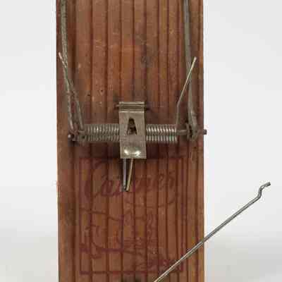 Wooden Rat trap