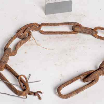 Chain