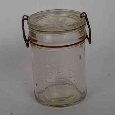 Fruit preserving jar