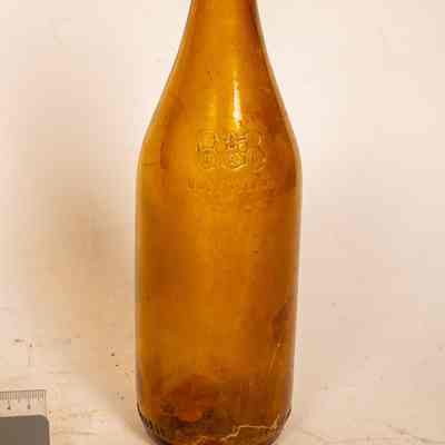 Beer Bottle