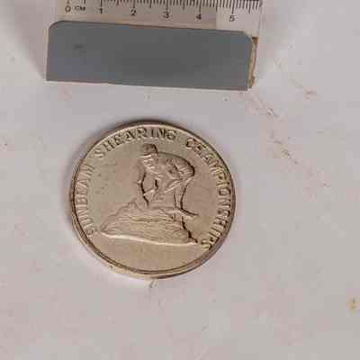 Sunbeam Shearing Medallion