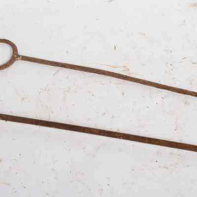 Inoculating Loop