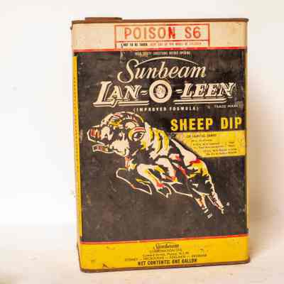 Lan - o - Leen dip