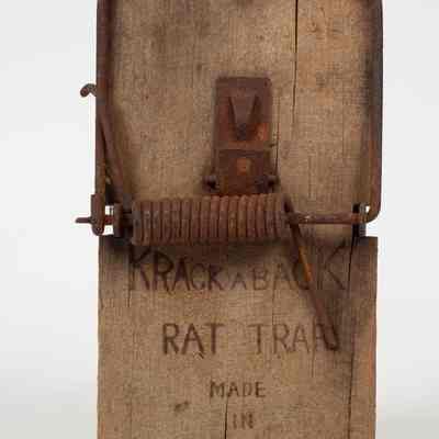 Wooden Rat trap