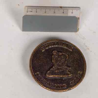 Sunbeam shearing buckle