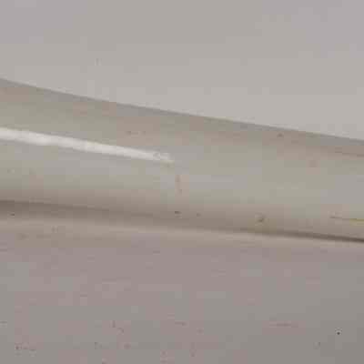 Chemist Pestle