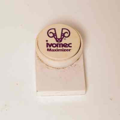 Fridge magnet