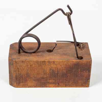 Mouse Trap