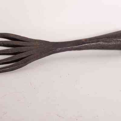 Eel spear