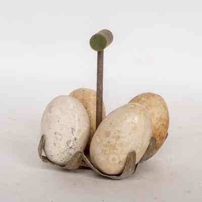 Egg lifter
