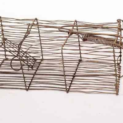Rat Trap