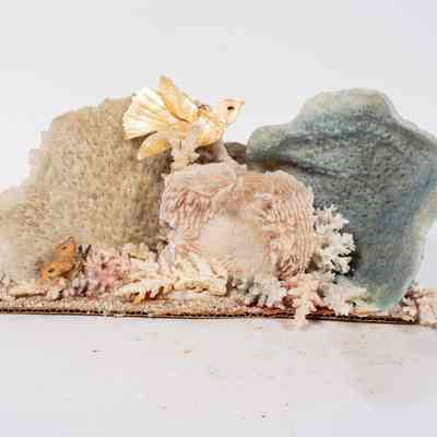 Shell craft