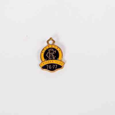 Enamel Badge