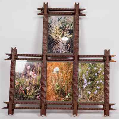 Picture Frame trampart