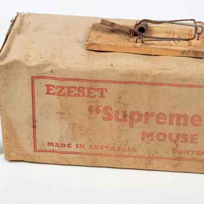 Mouse Traps