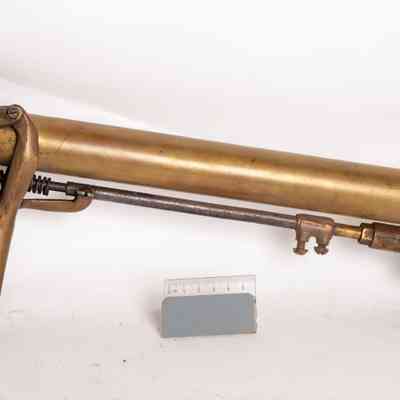 Prickly pear gun