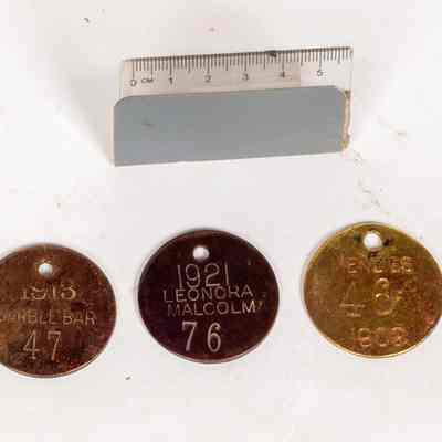 Camel tags