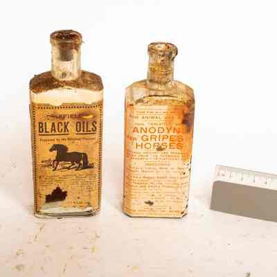 Bottle