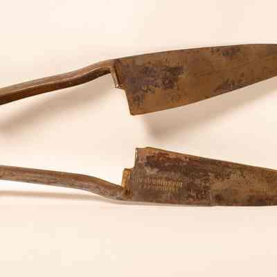 Hand Shears