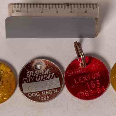 Dog tags