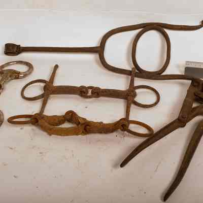 Horse tools