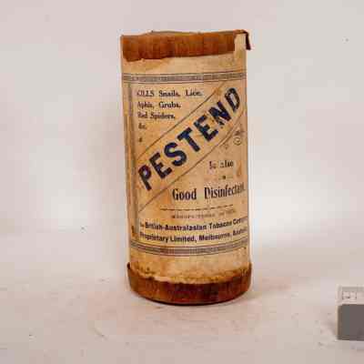 Pestend insecticide