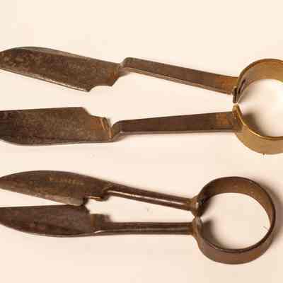 Hand Shears