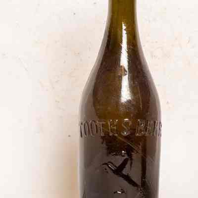 Tooth's beer bottle