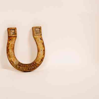 Good luck horse shoe
