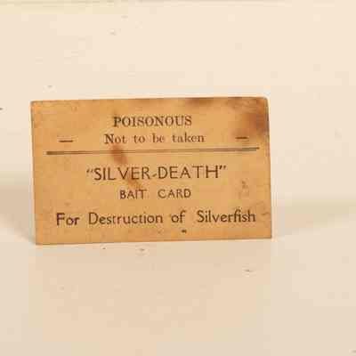 Silver Death Bait Card