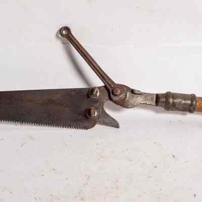 Pruning saw