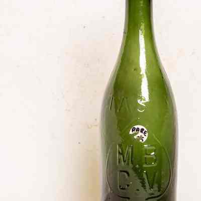 Beer bottle