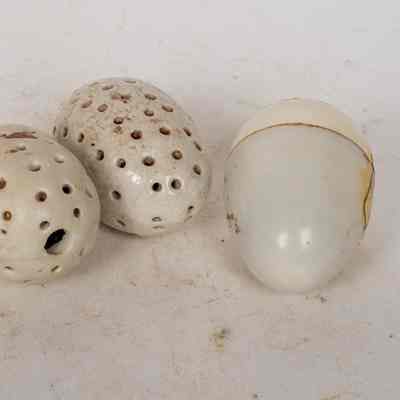 Nest Eggs
