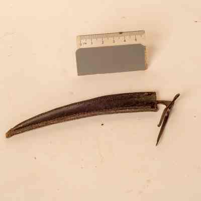 Cock Fighter Spur