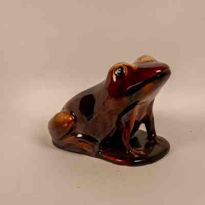 Bendigo Frog