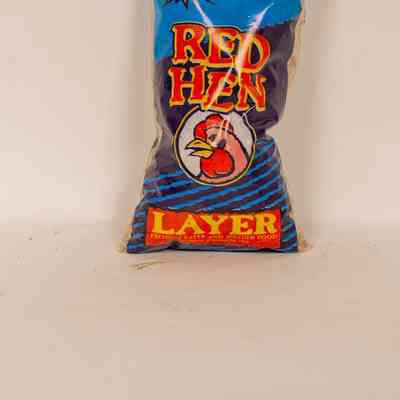 Sample bag