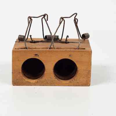 Wooden Mousetrap