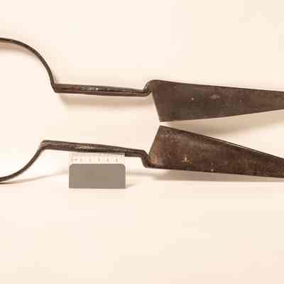 Hand Shears