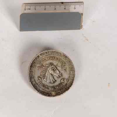 Pony Show Medallion
