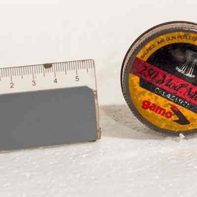 Slug Gun Pellets