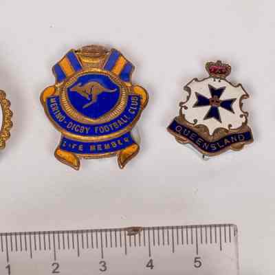 Badges