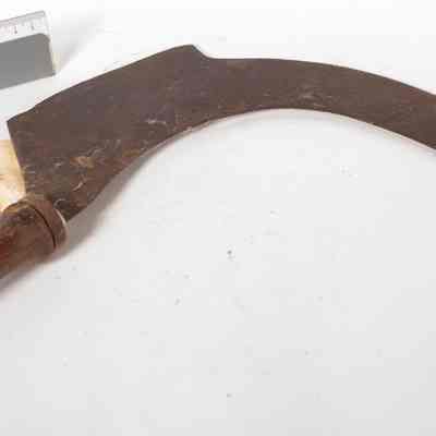 Eucalyptus Cutter's Sickle