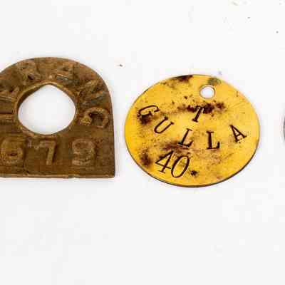 Common Tags (no Pic)