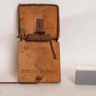 Mousetrap
