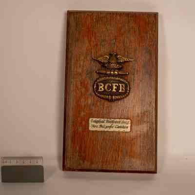 Plaque